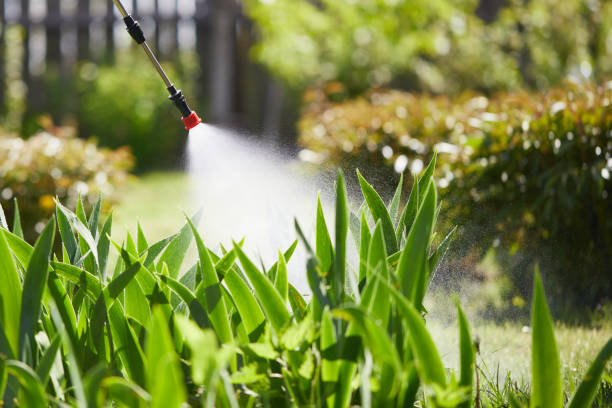 Tamper-Resistant Bait Stations for Rodents in Monroe North
