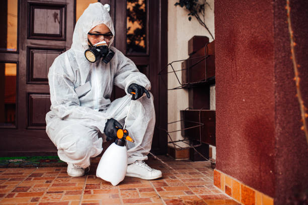 Attic and Crawl Space Rodent Treatment in Monroe North