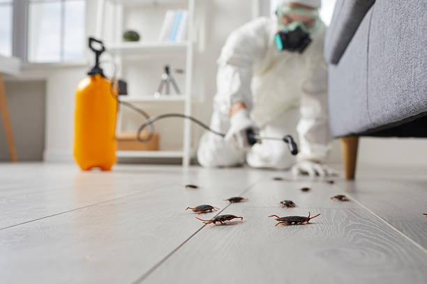 Commercial Rodent Management in Monroe North